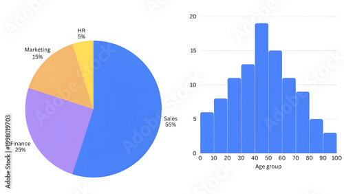 Business Analytics Pie Chart and Age Distribution Histogram Visualization