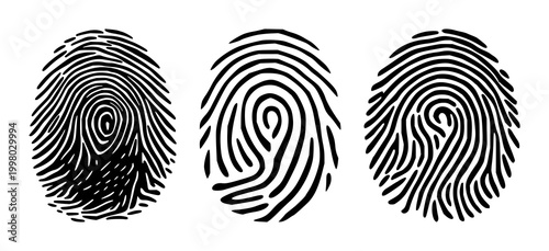 Biometric fingerprint scan loop set with solid black icon on white background featuring biometric, security, technology, health and identification