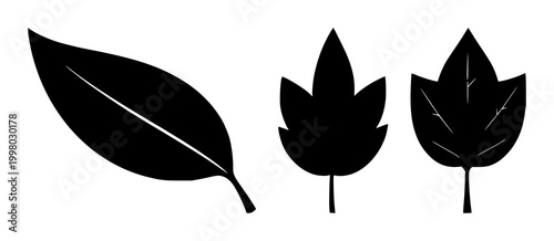 Corporate social responsibility leaf set with solid black icon on white background featuring leaf, circular, environmental with icons and sustainability