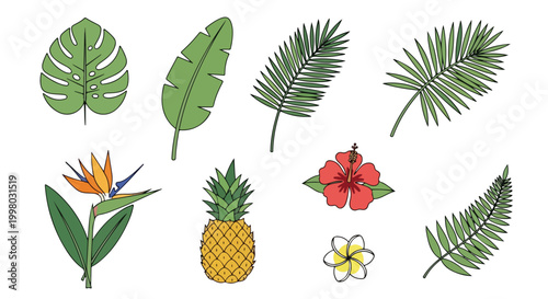 Tropical leaf and flower collection, set of 9 botanical vector icons, exotic monstera and palm foliage, hibiscus and bird of paradise floral elements