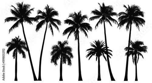 Collection of diverse black silhouette palm tree vector illustrations