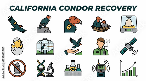 California Condor Recovery Icons