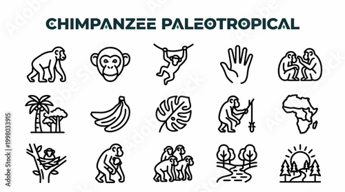 Chimpanzee Paleotropical Icons: Wildlife, Nature, Africa, Bananas, Habitat