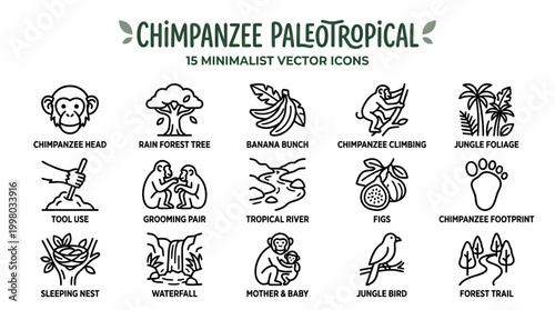 Chimpanzee Paleotropical Minimalist Vector Icons