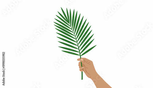 Palm leaf, green palm frond, hand holding leaf, tropical foliage, vector illustration