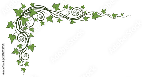 Decorative corner border made of green ivy vines and swirling stems for wedding invitation or classic frame design.