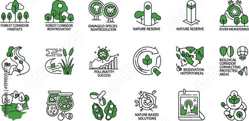 Conservation efforts in nature reserves and wildlife habitats with green illustrations