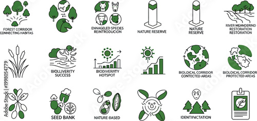 Nature reserve conservation efforts illustrated with icons and symbols in  visual representation.