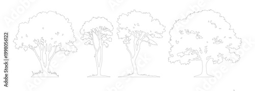 Minimalist tree outline vector set, hand drawn botanical sketches of deciduous trees, thin line art forest plant collection for architectural site plans