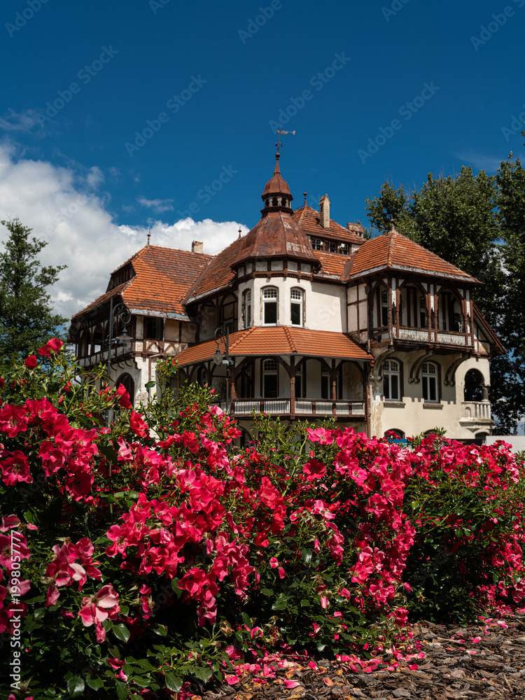Fototapeta premium 2025-07-19; Historic half-timbered villa in Swieradow-Zdroj surrounded by blooming pink roses.