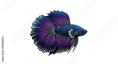 Vibrant Betta Fish with Flowing Fins - Siamese Fighting Fish, Blue and Purple