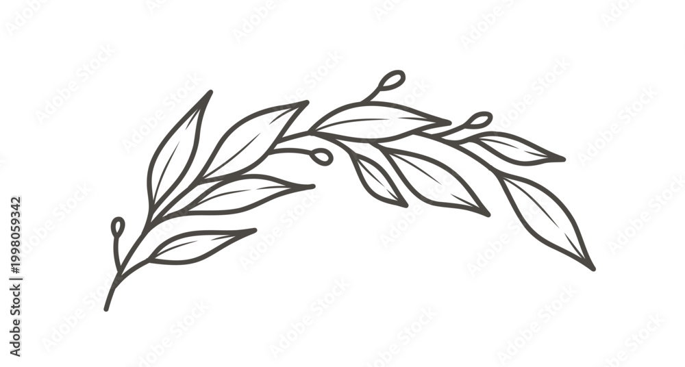 Obraz premium Laurel Branch with leaves. Minimal simple hand-drawn line art vector illustration, black on a white background