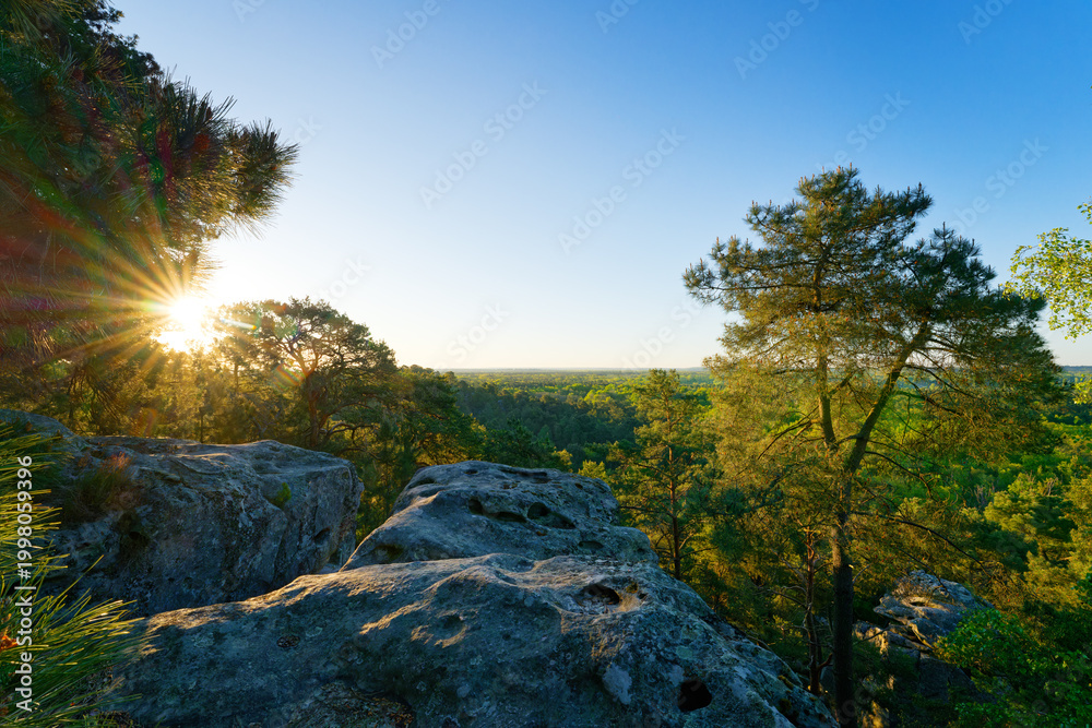Fototapeta premium Denecourt path 19 in the Dame Jouanne rock. Fontainebleau massif