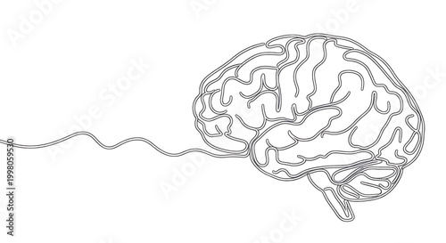 Continuous line drawing of a human brain, minimalist design concept of intelligence and creativity