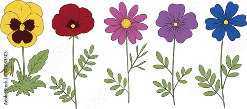 Colorful Wildflower Collection Set with Pansy Poppy Daisy Cosmos and Cornflower Vector Illustration White Background