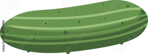 Vegetable Cucumber Illustration 