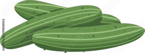 Vegetable Cucumber Illustration 