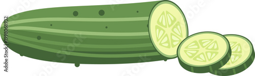 Vegetable Cucumber Illustration 