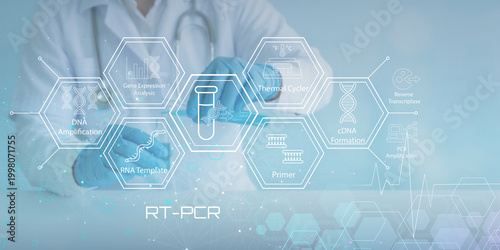 Cuadro en lienzo Scientist performing RTPCR process with gene expression analysis and DNA amplifi