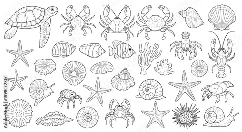 Collection of hand drawn sea life illustrations featuring various shells, crabs, starfish, and a sea turtle on a white background.