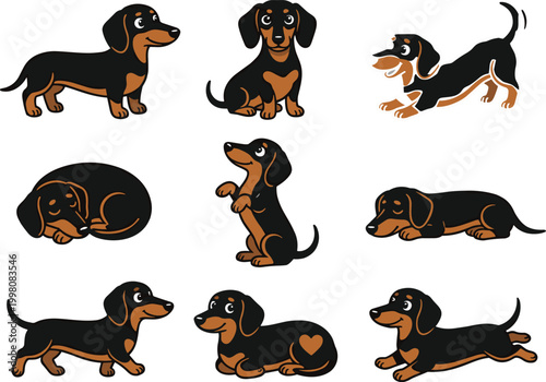 Vector dachshund dog character set featuring cute sausage dogs in various poses like sitting sleeping running and playing.