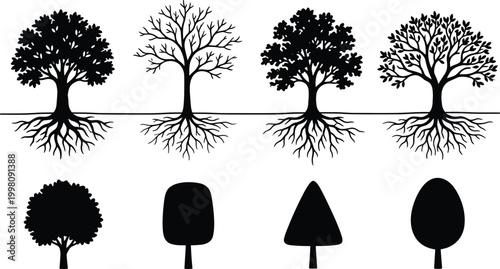 Black and white stylized silhouette illustration set of trees with visible roots and simplified geometric canopy versions, perfect for botanical, educational, and design purposes