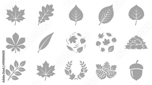 A collection of stylized grey leaf and nature-themed icons, including various leaf shapes, acorns, pinecones, and a laurel wreath.