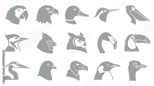 Collection of Silhouetted Bird Heads Showing Diverse Beaks and Features.