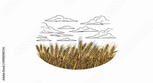 Golden wheat field under a cloudy sky, hand-drawn style