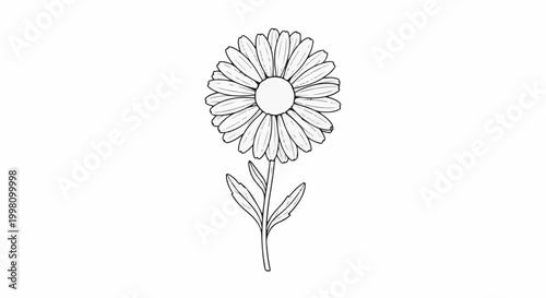 Detailed black and white illustration of a single daisy flower