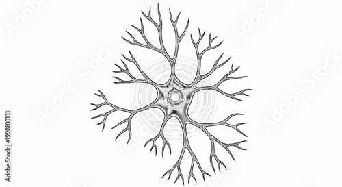 Detailed black and white illustration of a neuron with branching dendrites and axon