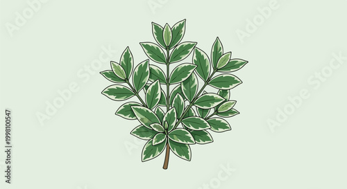 Detailed illustration of a variegated plant branch on a light green background