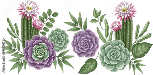 Detailed Botanical Vector Illustration Set Featuring Blooming Cacti with Pink Flowers, Colorful Echeveria Succulents, and Delicate Green Foliage for Floral Design Projects