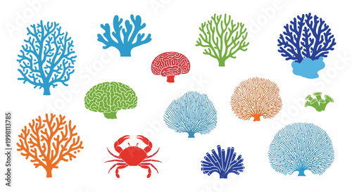A vibrant assortment of stylized coral shapes and a single red crab are displayed in a flat vector design on a plain white background for marine education.