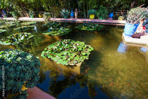 Tableau sur toile Majorelle Garden in Marrakech, Morocco