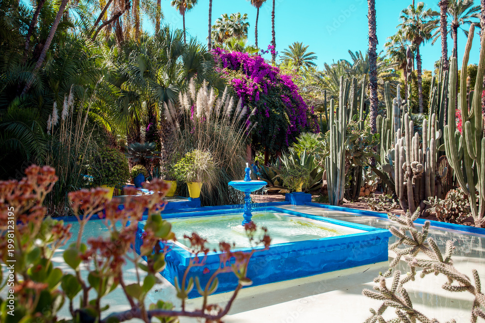 Obraz premium Majorelle Garden in Marrakech, Morocco