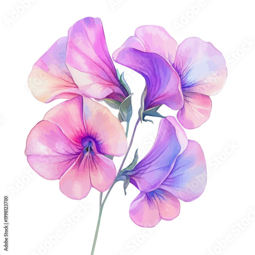 Tableau sur toile Sweet Pea Flower, artistic semi-realistic fantasy style, soft glow effects, wate
