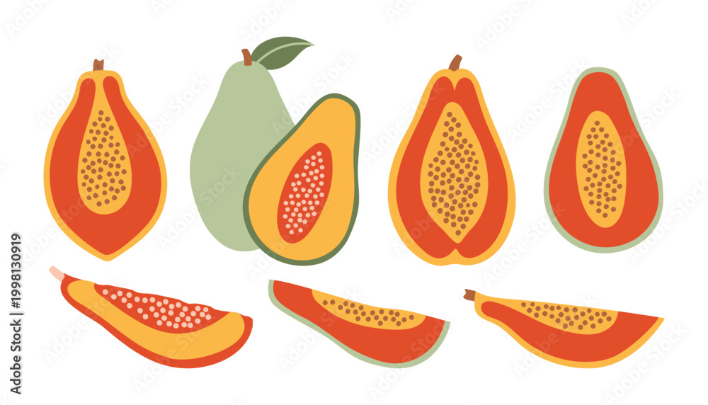 Fototapeta premium Vector set of tropical papaya fruits showing whole and sliced parts with seeds. Exotic food collection in cute hand drawn doodle style with vibrant orange and green colors on white background