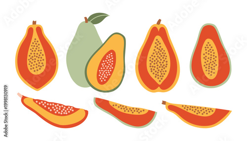 Vector set of tropical papaya fruits showing whole and sliced parts with seeds. Exotic food collection in cute hand drawn doodle style with vibrant orange and green colors on white background