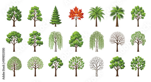 This diverse collection of eighteen distinct tree species includes various deciduous coniferous and tropical palm varieties arranged in a clean grid format.