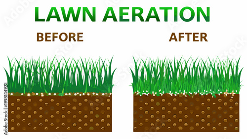 Lawn aeration illustration before and after showing grass and soil