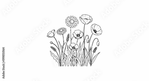 Line art illustration of wildflowers including daisies and poppies among grass