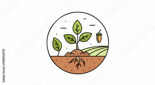 Illustration of plant growth from seedling to harvest in a circular frame