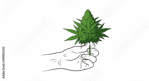 Hand holding a green cannabis bud with leaves