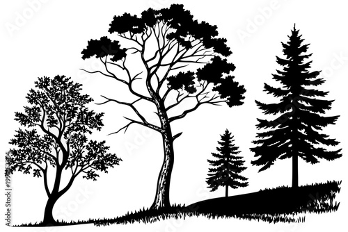 Various tree species in black silhouette, depicting a beautiful natural forest environment in this detailed vector illustration.