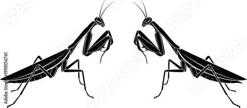 Praying Mantis Silhouette Vector Illustration with Symmetrical Insect Design Facing Each Other for Tattoo Logo Emblem and Nature Inspired Graphic Projects