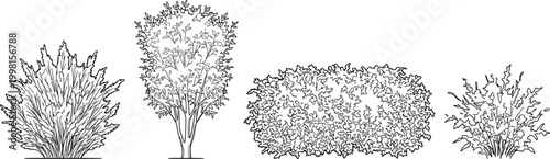 Four different types of trees and bushes illustration set