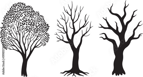Three distinct black tree silhouettes showcase a leafy form alongside two bare trees on a white backdrop