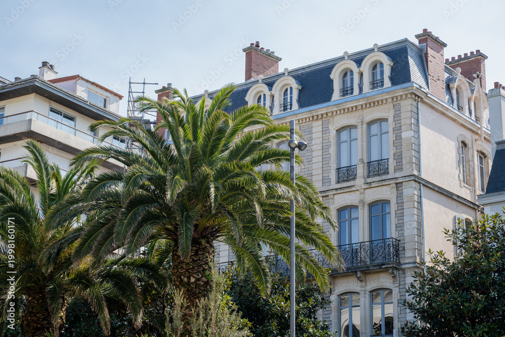 Fototapeta premium Elegant european building with classic architecture framed by palm trees in sunny coastal city street scene