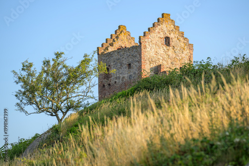 Bild auf Leinwand Bornholm Hammershus
